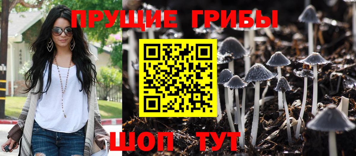 Псилоцибиновые грибы Magic Shrooms Соликамск