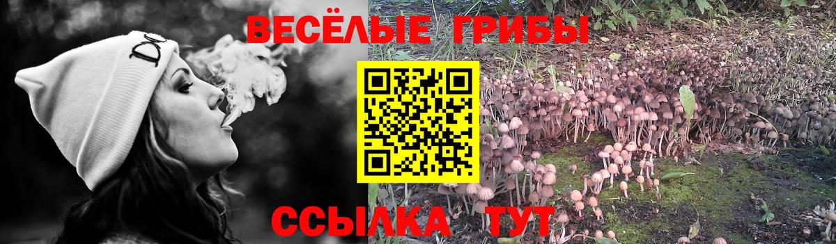 Соликамск  Галлюциногенные грибы MAGIC MUSHROOMS  Вход с VPN  Галлюциногенные грибы MAGIC MUSHROOMS 